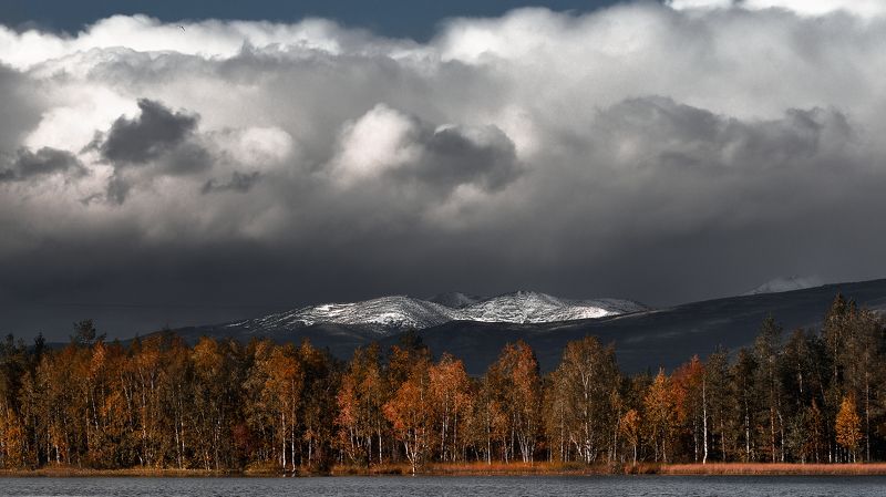 скоро зимаphoto preview