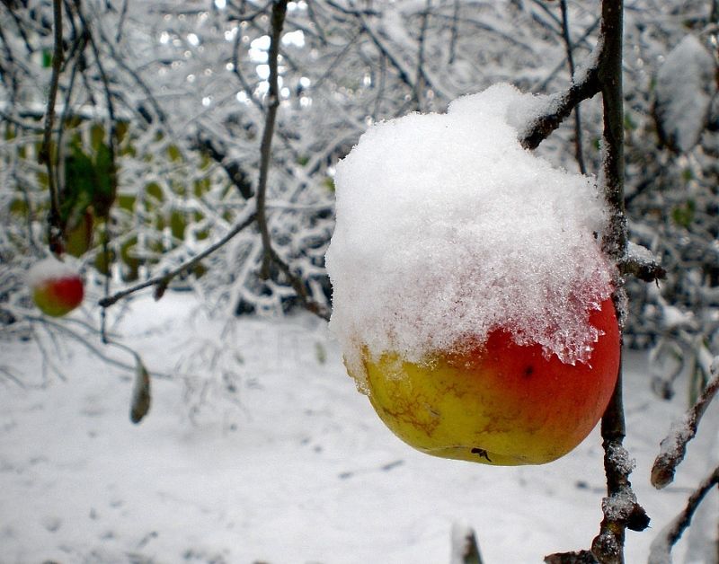 Зимаphoto preview