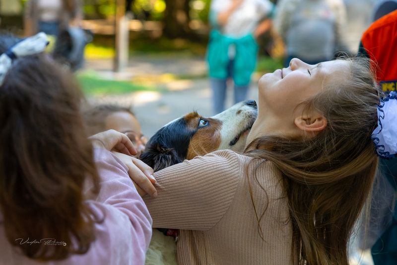 друзья, собака, девочка, позитив, настроение, фотография, стрит, парк, любовь, Свирин Вадим,Калининград, Россия, friends, dog, girl, positive, mood, photograph, street, park, love, Vadim Svirin, Kaliningrad, Russia Друзьяphoto preview