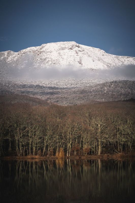 Слоиphoto preview