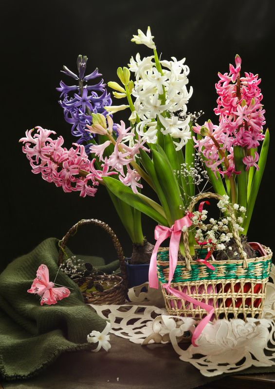 цветы, гиацинты, весна, корзинка Гиацинтыphoto preview