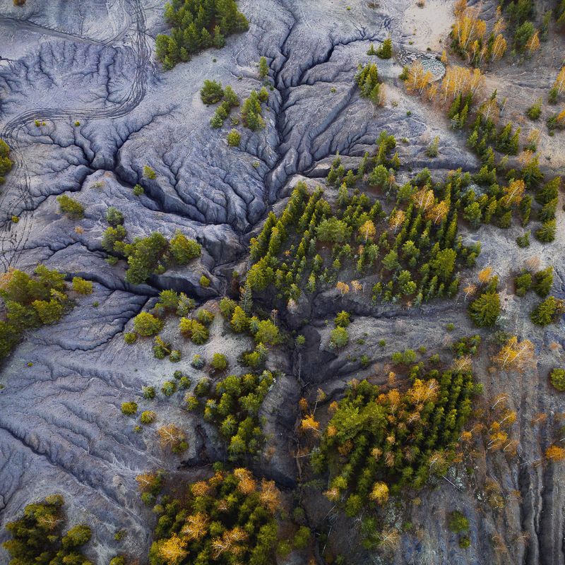 Суворов. Вертикаль.photo preview