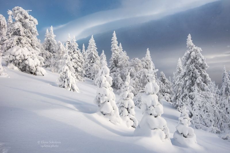 уреньга, хребет, горы, зима, челябинская область, снег, лес Уреньгаphoto preview