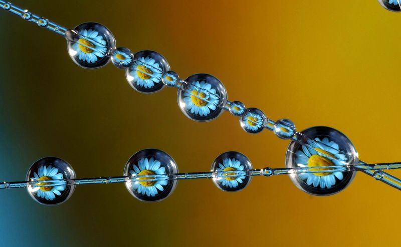 Отражениеphoto preview