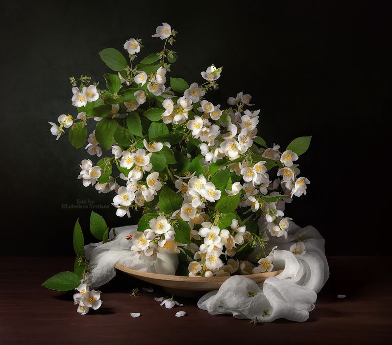 букет,цветы,натюрморт Жасминовый ароматphoto preview