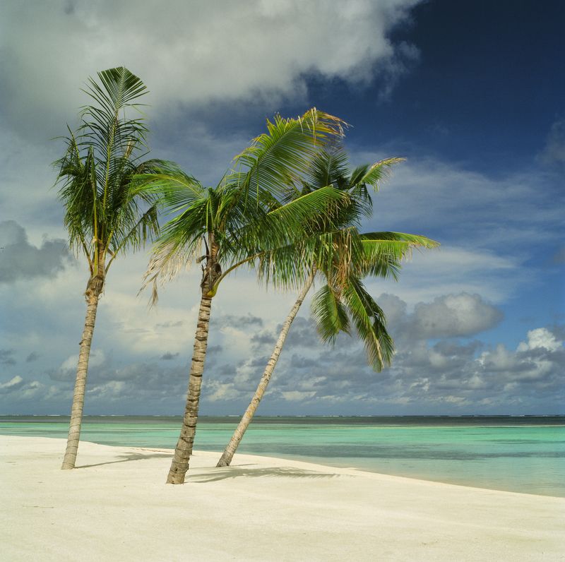 film, analog, analog photo, film photography, пленка, плёночная фотография, medium format, 120mm, 120 film, 6x6, средний формат, bronica, bronica sq-a, Zenzanon, Zenzanon80mm, Kodak, Ektachrome, E100, Ektachrome E100, Kodak Ektachrome E100 photo preview