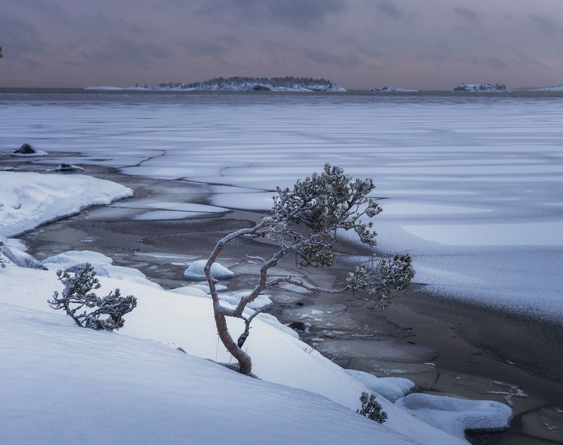 На Ладогеphoto preview