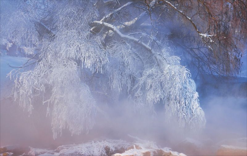 Зимняя палитраphoto preview