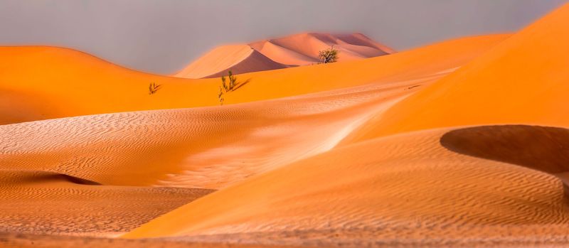 Эстетика пустыни фото превью