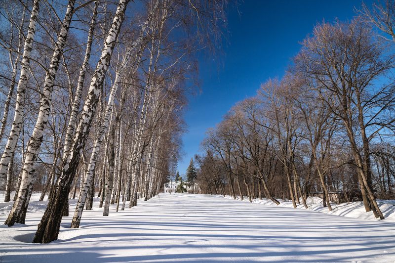 Ясная Полянаphoto preview