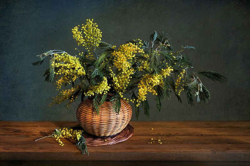 натюрморт,мимоза,ваза Мимозаphoto preview