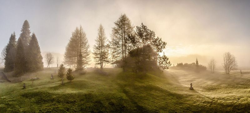 Весенний домphoto preview