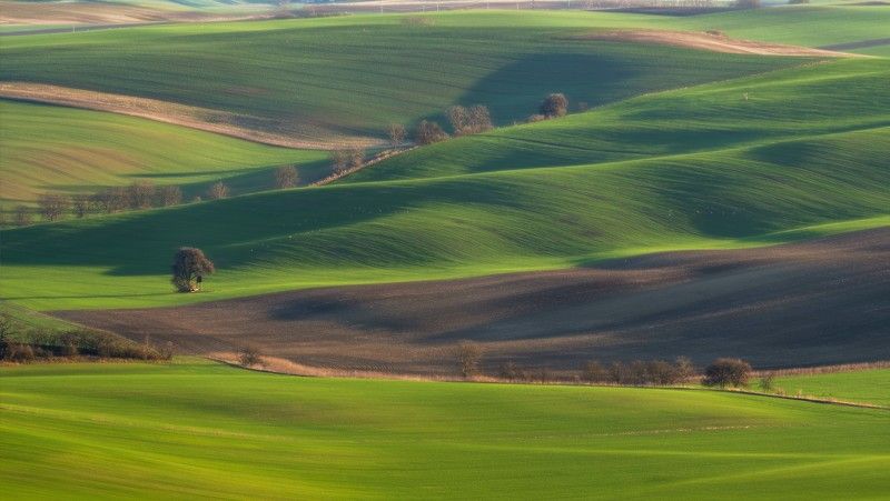 spring, moravia, moravia tuscany, kyjov March in Moraviaphoto preview