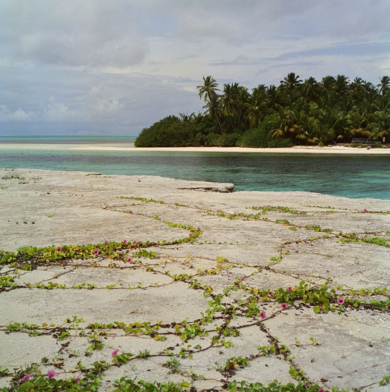 film, analog, analog photo, film photography, пленка, плёночная фотография, medium format, 120mm, 120 film, 6x6, средний формат, bronica, bronica sq-a, Zenzanon, Zenzanon80mm, Kodak, Ektachrome, E100, Ektachrome E100, Kodak Ektachrome E100 photo preview