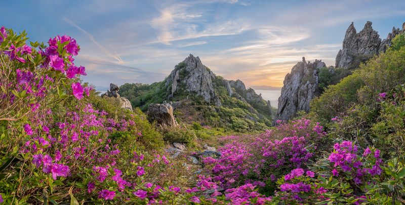 Spring of Deokryongsan blooming with azaleasphoto preview