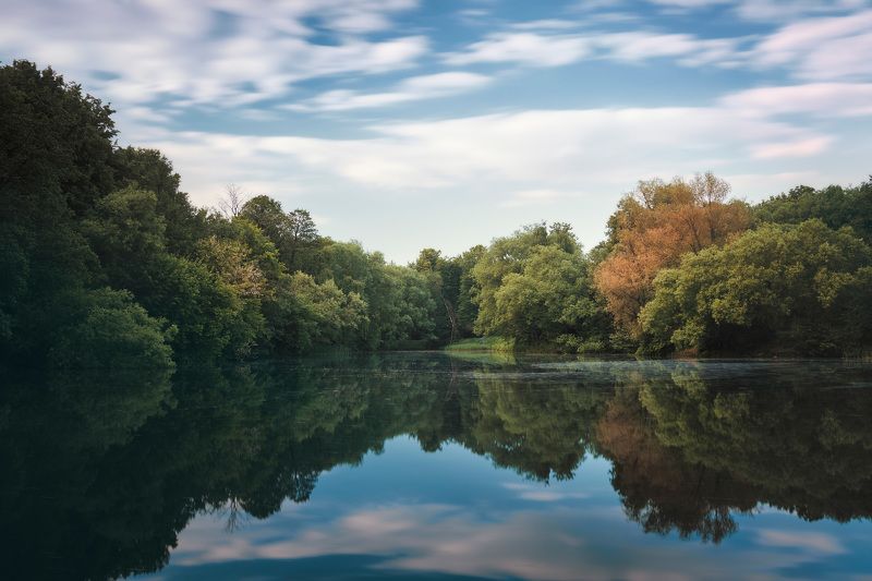 деревья, отражения, небо В парке фото превью