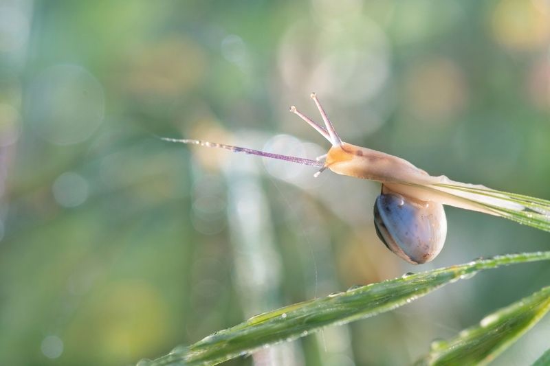Весна уже в пути...photo preview