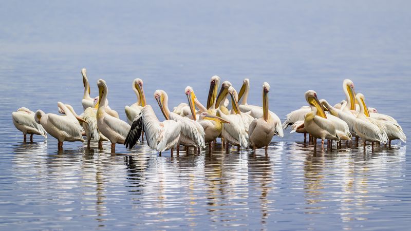 Совещаниеphoto preview