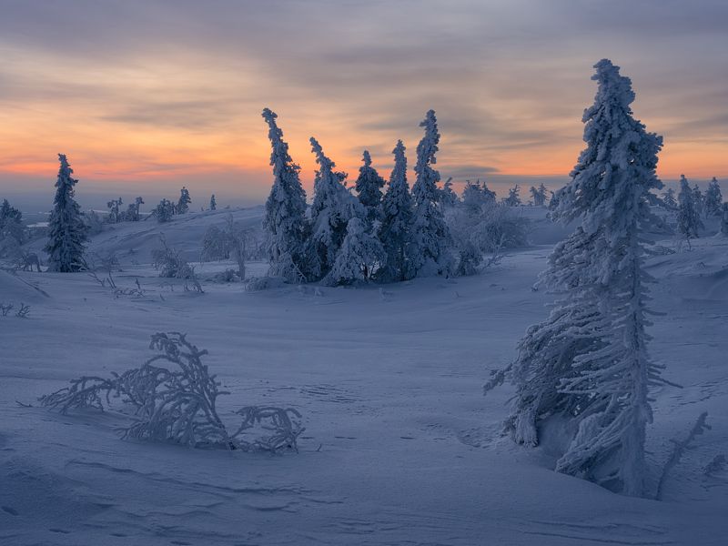 Ледяное безмолвиеphoto preview