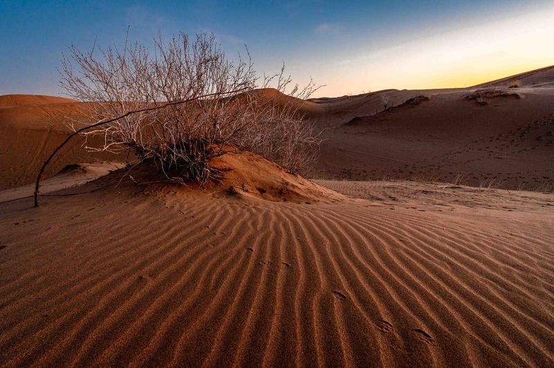 Wilderness фото превью