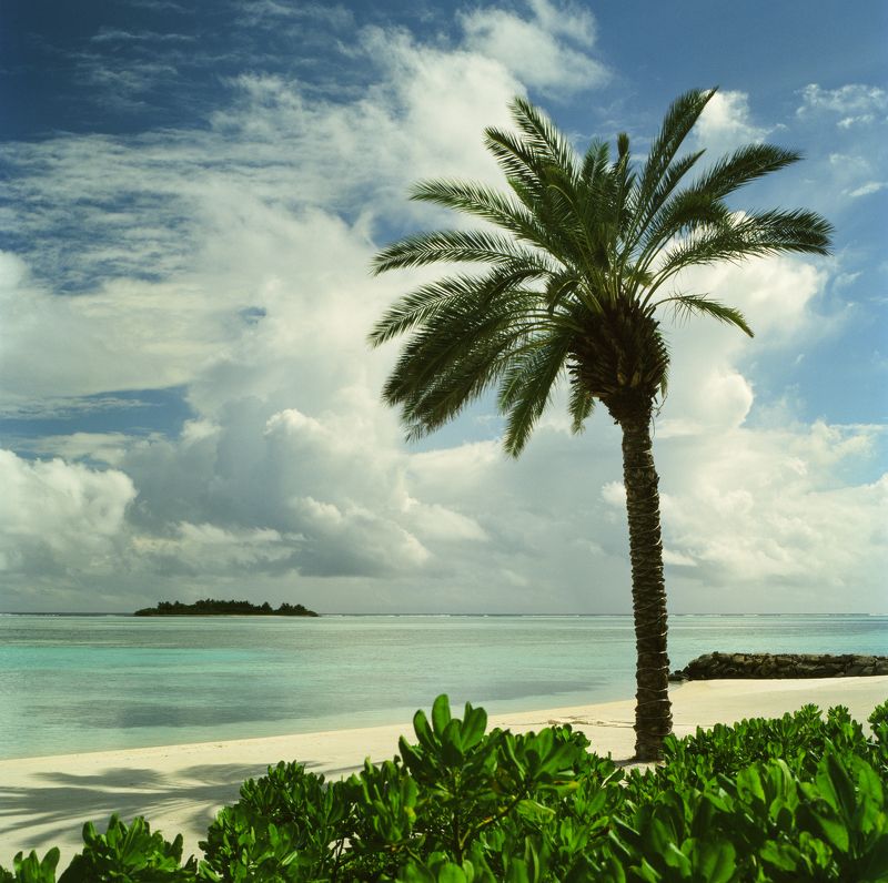 film, analog, analog photo, film photography, пленка, плёночная фотография, medium format, 120mm, 120 film, 6x6, средний формат, bronica, bronica sq-a, Zenzanon, Zenzanon80mm, Kodak, Ektachrome, E100, Ektachrome E100, Kodak Ektachrome E100 photo preview