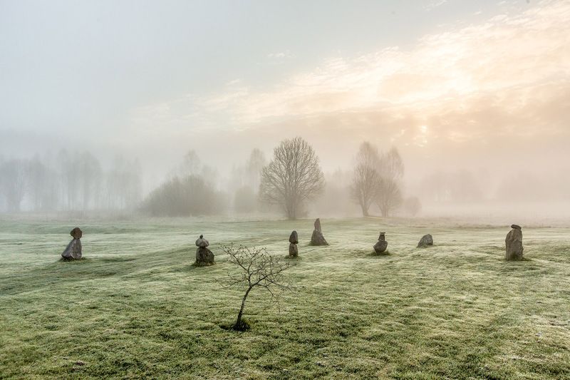 Апрельское утречкоphoto preview