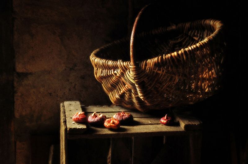 Встреча с весенним солнцемphoto preview