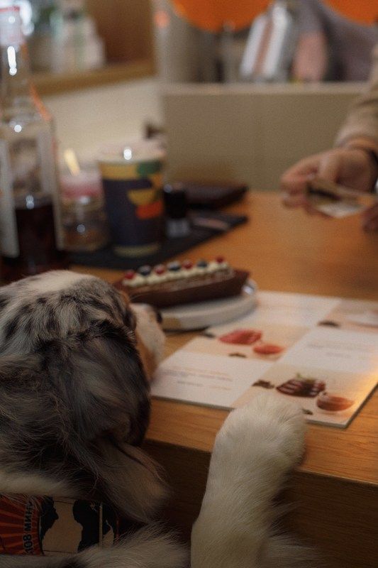 Однажды в кондитерскойphoto preview