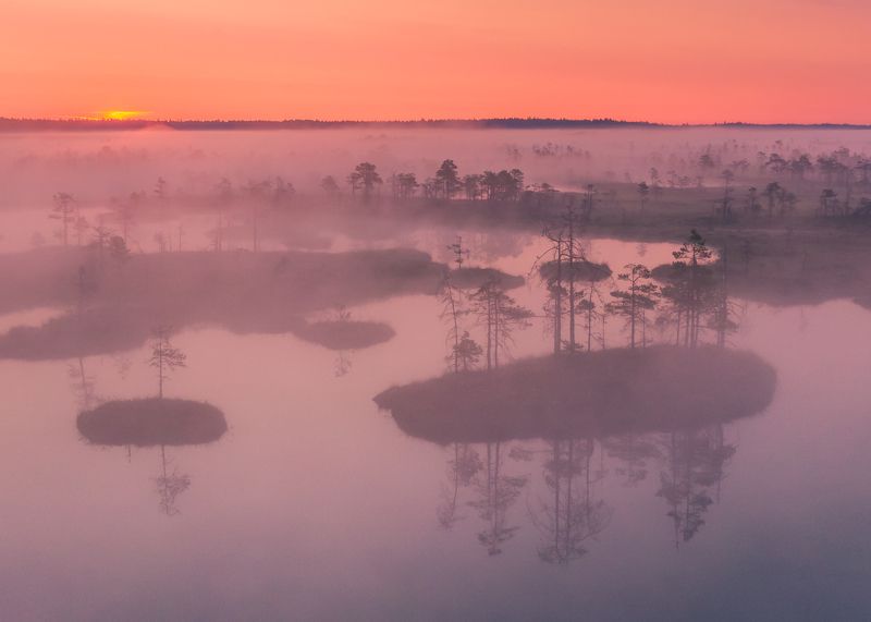 #estonia #estoniabogs #nature_of_estonia #naturelovers #sunrise_sunset_photogroup #sunriseoftheday #foggymorning #foggy #bog #kõnnusuursoo #visitharju #visitestonia #earlymorningwalk #morningmotivation #sunrise_sunsets #dji #drone #aerial #djiphotography  ---photo preview