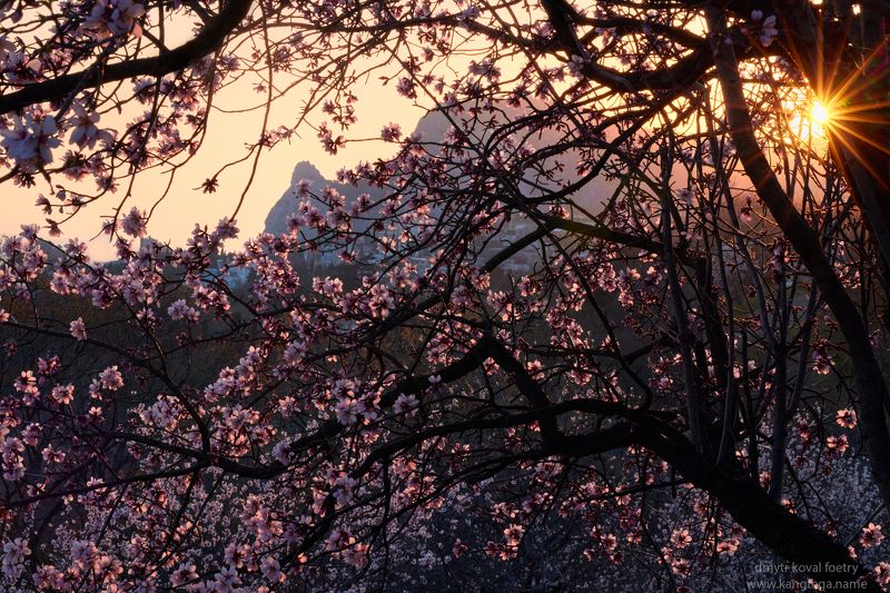 пейзажемагьё, пейзаж-как-виденье Сказка Симеизских Светений …photo preview