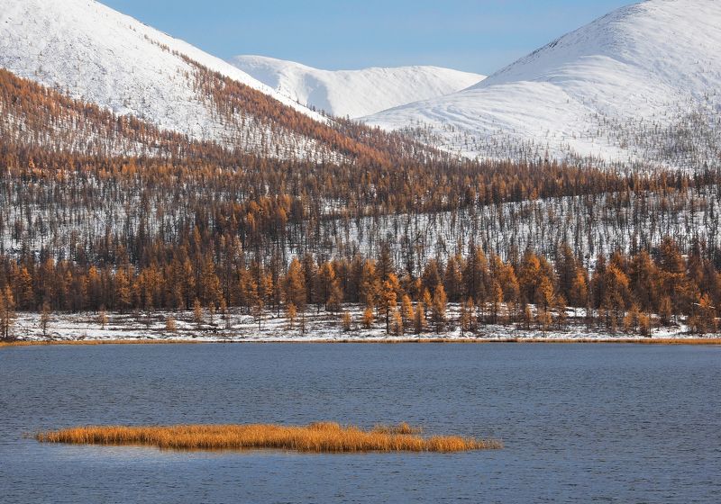 Рыжий островокphoto preview