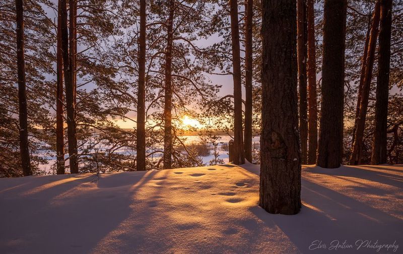 пейзаж, природа Последние мгновения зимы...photo preview