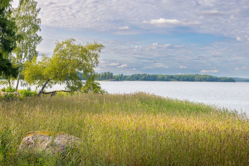 #карелия #travel #karelia #nature #природа #россия #путешествие #рускеала #trip #сортавала #travelphotography #отдых #осень #traveling Прогуливаясь по парку МОНРЕПОphoto preview