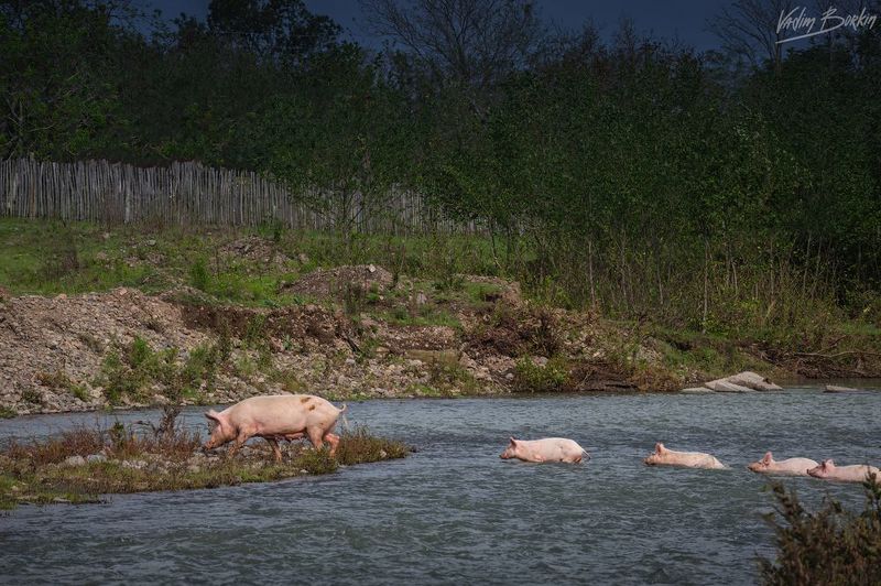 Семьяphoto preview