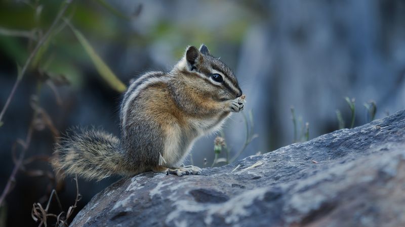 А букет в руках беспомощно редел...photo preview