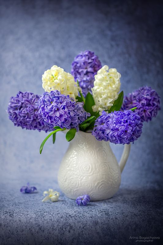 *** фото превью