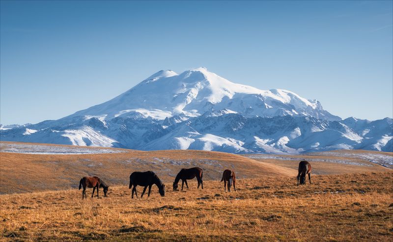 Солнечная осень в приэльбрусьеphoto preview