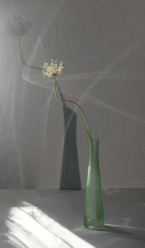 натюрморт свет Светphoto preview