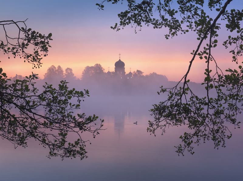 Перед рассветомphoto preview