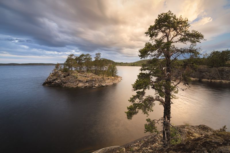 ладога, ладожские шхеры, карелия, северное приладожье, скалистые острова, сосны \