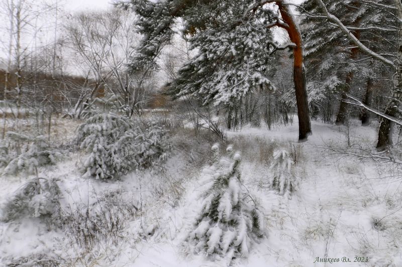 Замело фото превью