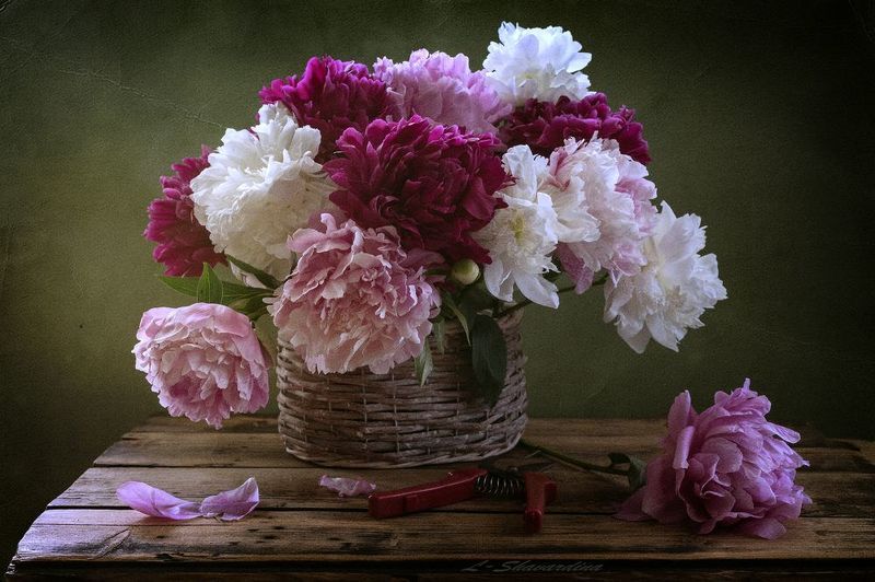 Пионов яркие шарыphoto preview