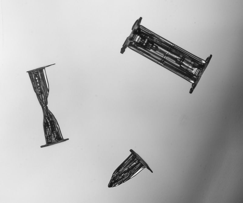 Зарождениеphoto preview