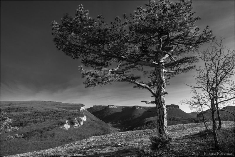 Пейзаж в монохромеphoto preview