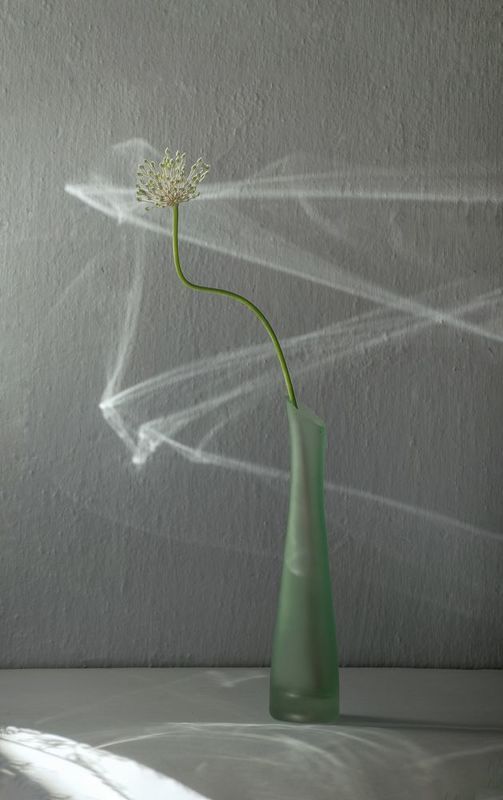 натюрморт свет Светphoto preview