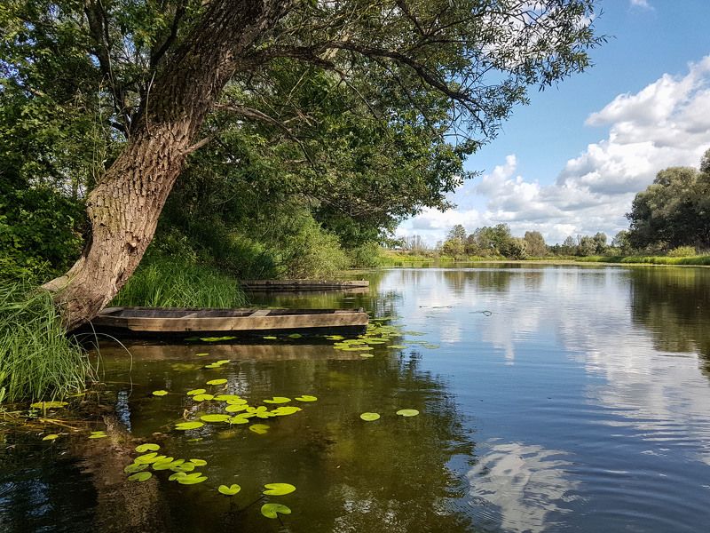 озеро красота вечер Озеро Старая Речка.photo preview