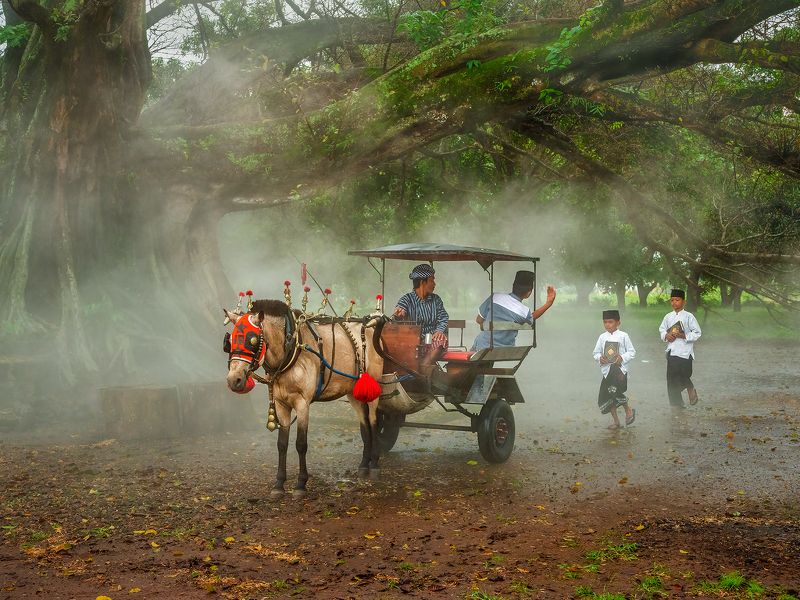 Going to schoolphoto preview