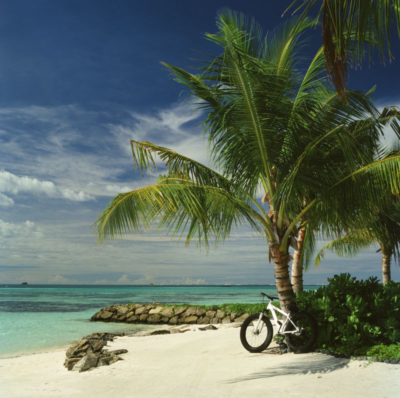 film, analog, analog photo, film photography, пленка, плёночная фотография, medium format, 120mm, 120 film, 6x6, средний формат, bronica, bronica sq-a, Zenzanon, Zenzanon80mm, Kodak, Ektachrome, E100, Ektachrome E100, Kodak Ektachrome E100 photo preview