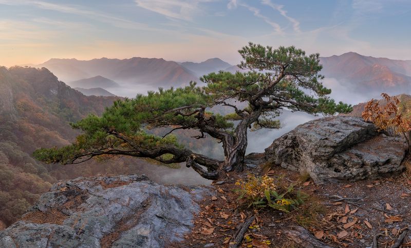 Alone Above the Cloudsphoto preview