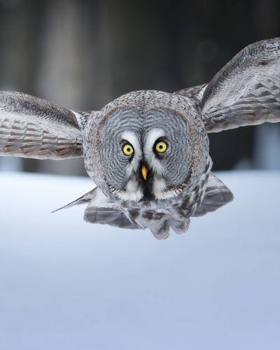 külotlu çorap bilan porno qullik